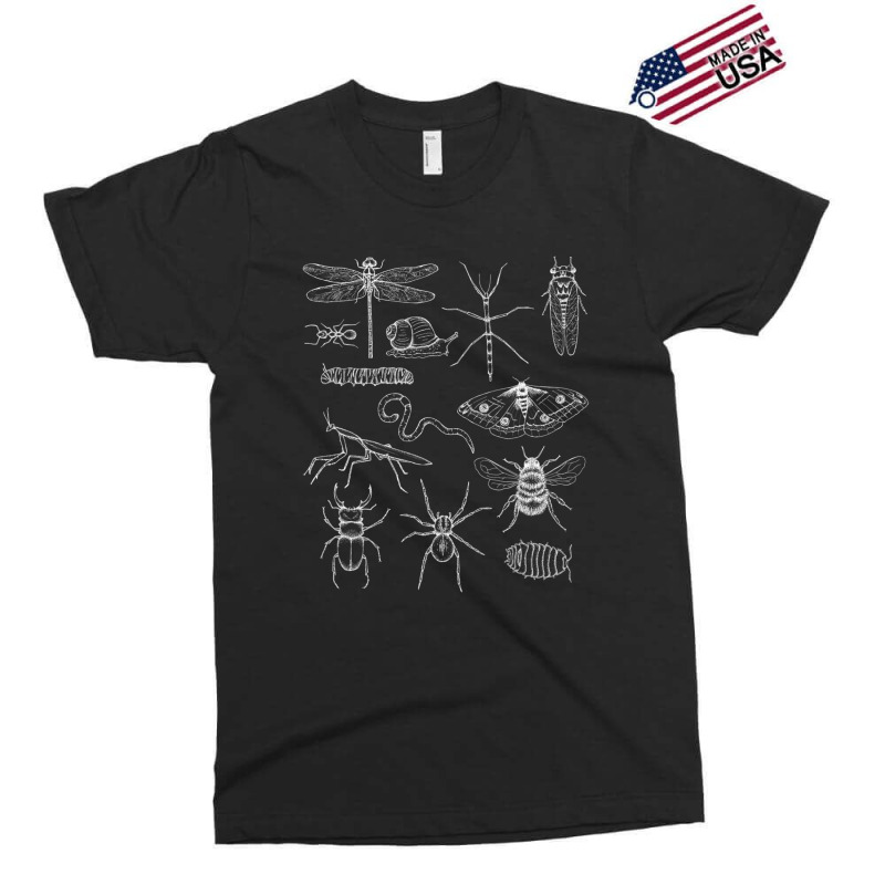 Minibeasts Insects And Invertebrates Drawings Exclusive T-shirt | Artistshot