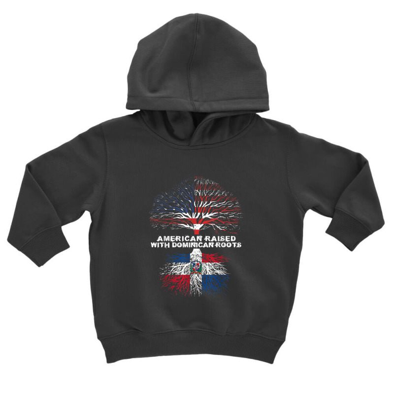 American Raised With Dominican Roots Republic Toddler Hoodie by BenSamirDarwish | Artistshot