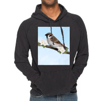 House Sparrow Bird Birder Birdlover Birdwatcher Biologist Premium Vintage Hoodie | Artistshot