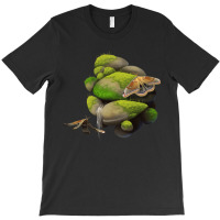 Polyphemus Moths On Rocks T-shirt | Artistshot