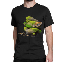 Polyphemus Moths On Rocks Classic T-shirt | Artistshot