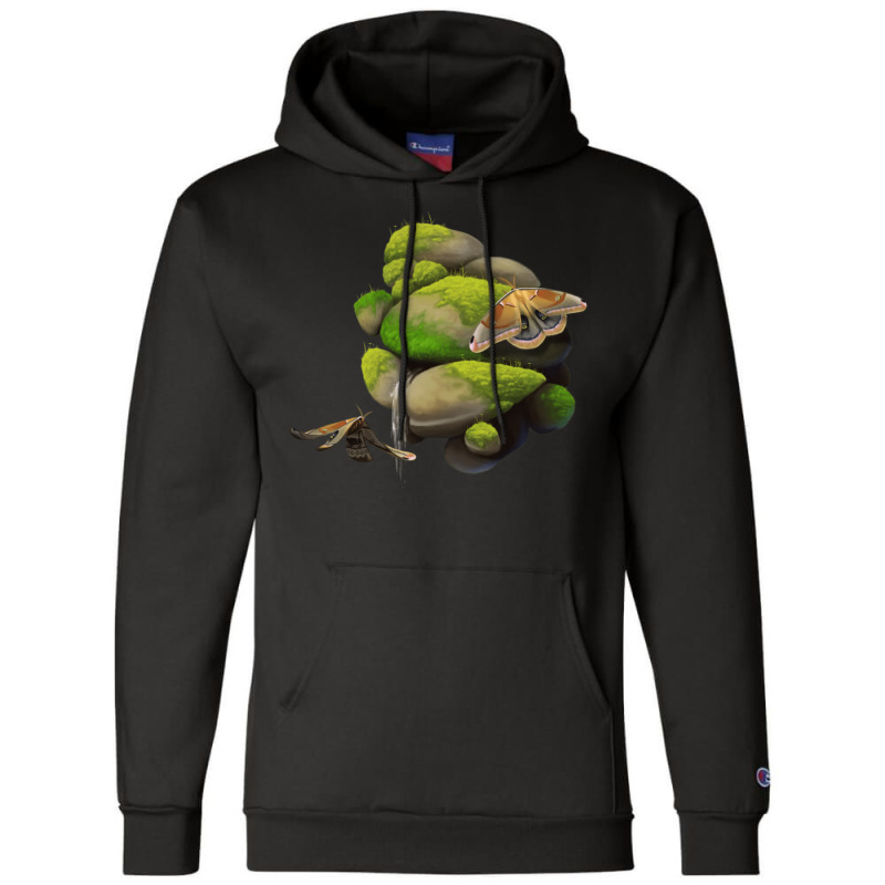 Polyphemus Moths On Rocks Champion Hoodie | Artistshot