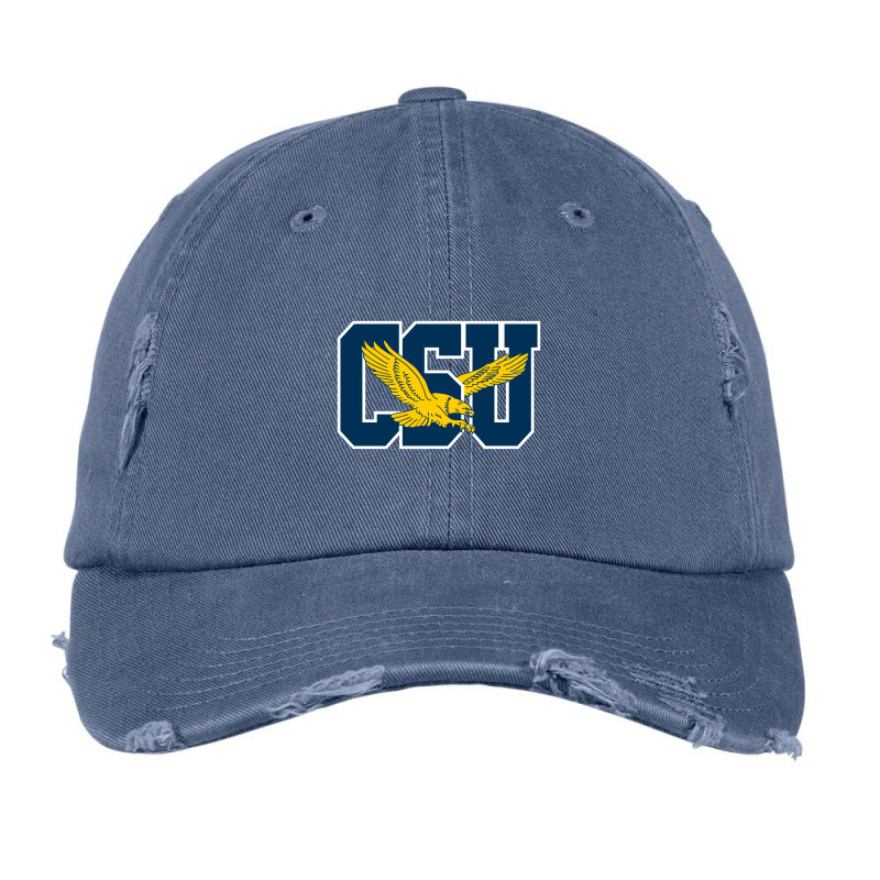 The Coppin State Eagles Vintage Cap | Artistshot