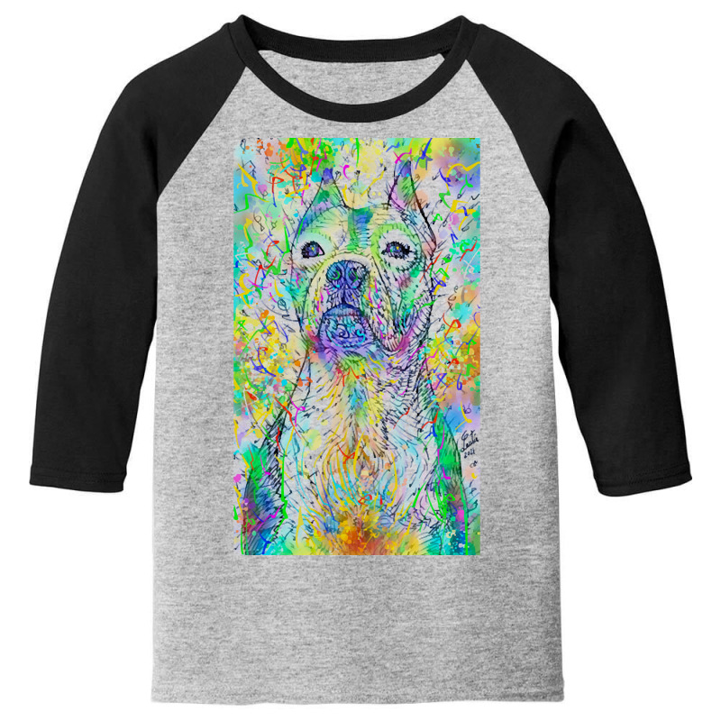 Pit Bull T  Shirt P I T B U L L Watercolor And Ink Portrait .1 T  Shir Youth 3/4 Sleeve | Artistshot