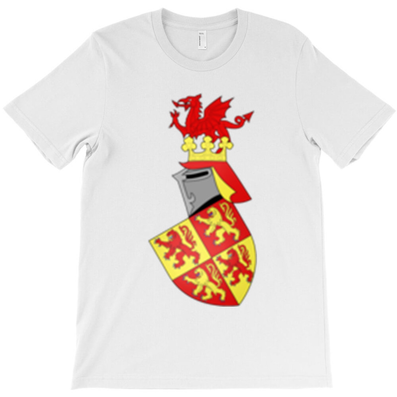 Owain Glyndwr (3) T-shirt | Artistshot