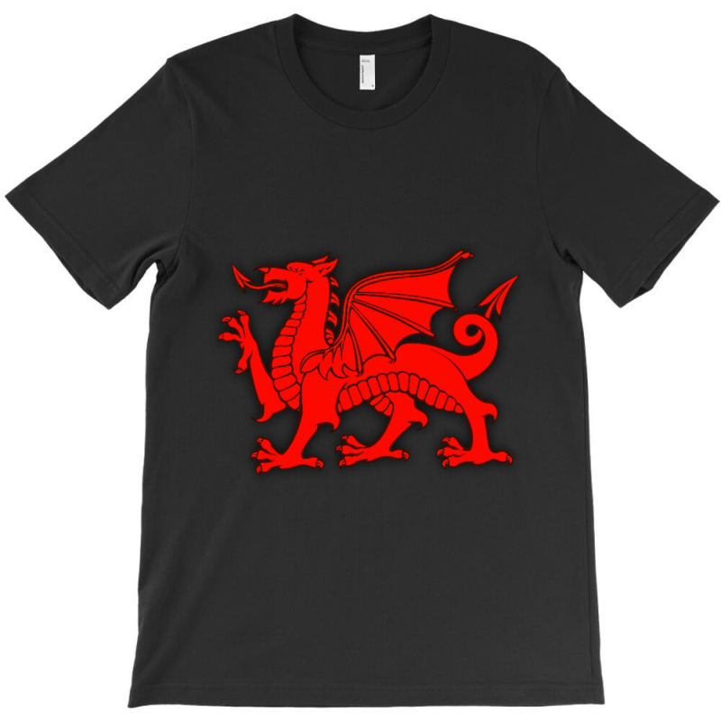 Owain Glyndwr T-shirt | Artistshot