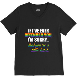 If I Ever Offended You Gay Lesbian Pride LGBT Tshirt Gift V-Neck Tee | Artistshot