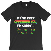 If I Ve Ever Offended You I M Sorry Gay Lgbt Pride Shirt T-shirt | Artistshot