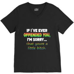 If I ve ever offended you I m sorry Gay LGBT Pride shirt V-Neck Tee | Artistshot