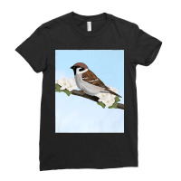 House Sparrow Bird Birder Birdlover Birdwatcher Biologist Premium Ladies Fitted T-shirt | Artistshot