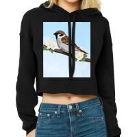 House Sparrow Bird Birder Birdlover Birdwatcher Biologist Premium Cropped Hoodie | Artistshot