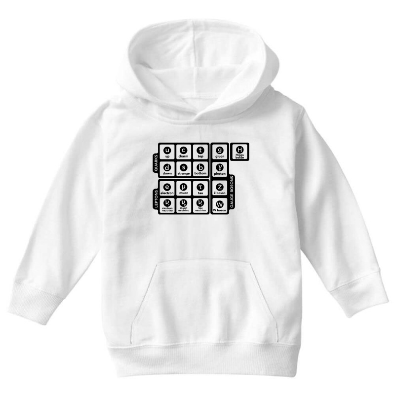 Particle Physics Youth Hoodie by DagDigDug | Artistshot