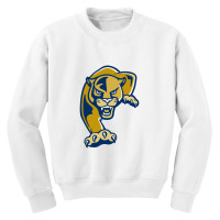 Florida International Panthers Youth Sweatshirt | Artistshot