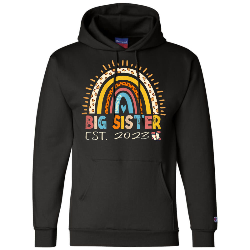 Promoted To Big Sister Est 2023   Rainbow Expectant Sis T Shirt Champion Hoodie | Artistshot