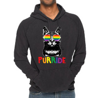 Purride  Lgbt Gay Pride Cat Lover Kitty Vintage Hoodie | Artistshot