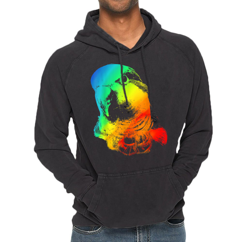 Quaker Parrot Colorful Rainbow Retro Vintage Hoodie | Artistshot