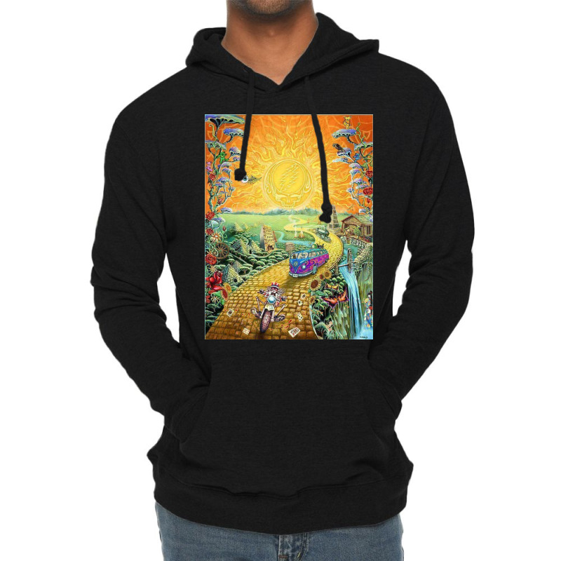 Grateful Sun Lightweight Hoodie | Artistshot