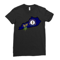 State Of Kentucky Flag With State Flower Giant Goldenrod Ladies Fitted T-shirt | Artistshot