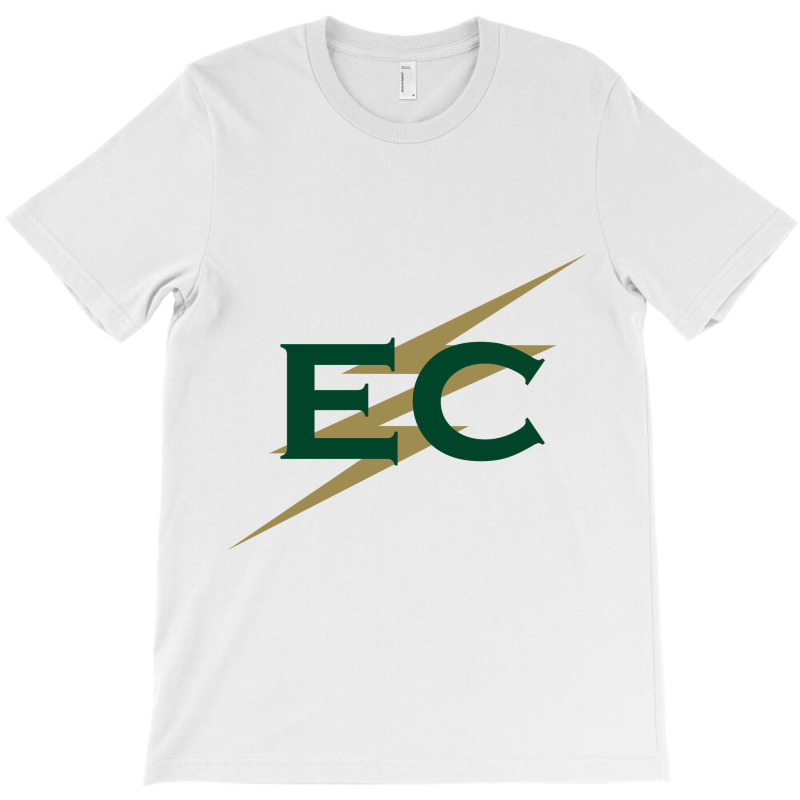 Elms Academic In Chicopee, Massachusetts T-shirt | Artistshot