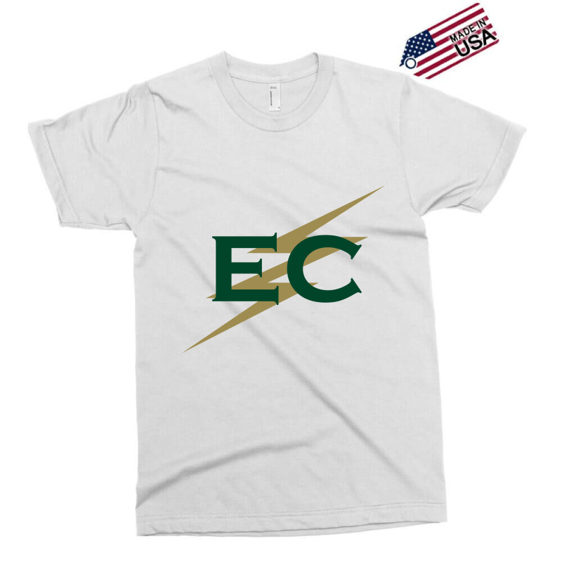 Elms Academic In Chicopee, Massachusetts Exclusive T-shirt | Artistshot