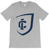 Ithaca Academic, New York T-shirt | Artistshot