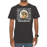 Dachshund T  Shirt Wirehaired Dachshund Traits T  Shirt Vintage T-shirt | Artistshot