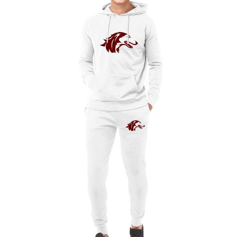 The Southern Illinois Salukis Hoodie & Jogger set by vengesleepboy | Artistshot