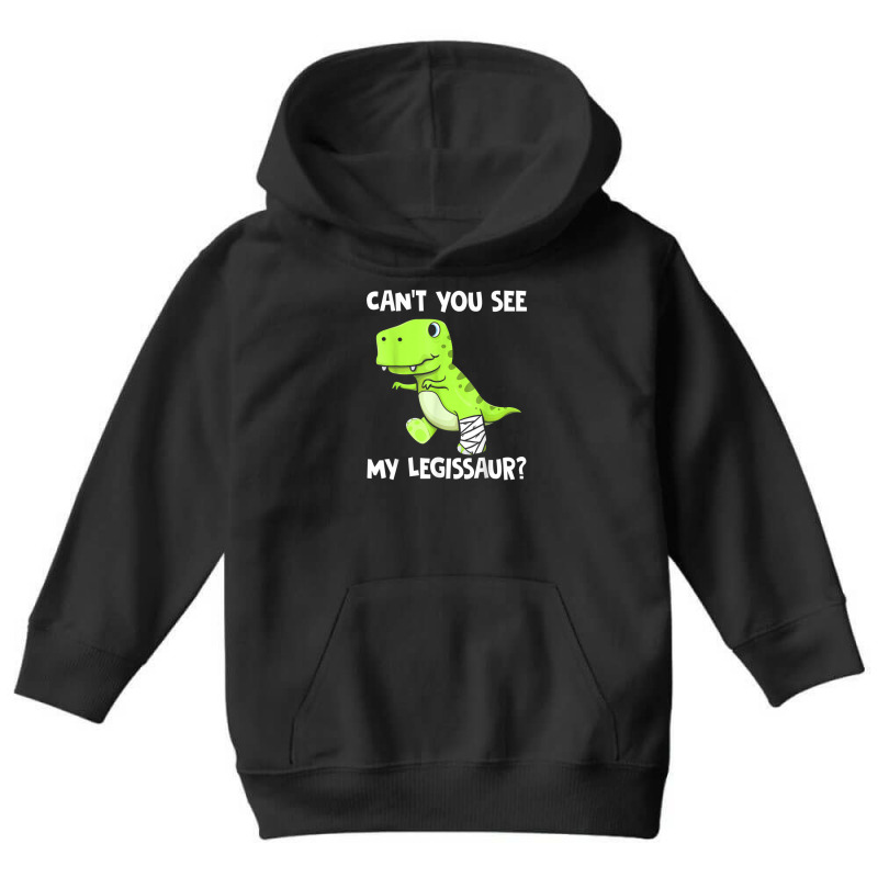 Can't You See My Legissaur Broken Leg T-rex Dinosaur Youth Hoodie by rastyrocl | Artistshot