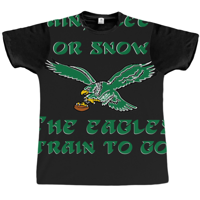 Rain Sleet Or Snow Birds Graphic T-shirt by StarActon | Artistshot