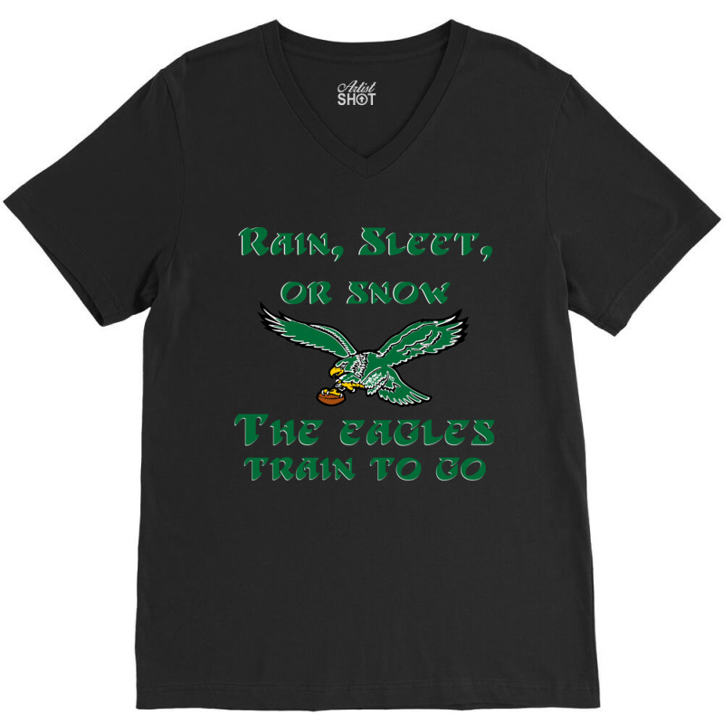 Rain Sleet Or Snow Birds V-Neck Tee by StarActon | Artistshot