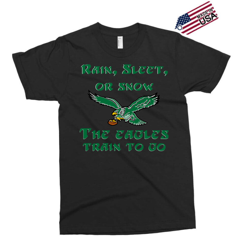 Rain Sleet Or Snow Birds Exclusive T-shirt by StarActon | Artistshot