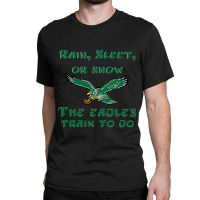 Rain Sleet Or Snow Birds Classic T-shirt | Artistshot