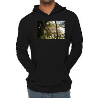 Granite Belt On 35mm Film Lightweight Hoodie | Artistshot