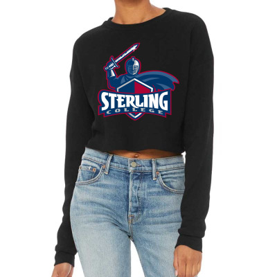 Sterling Academic, Kansas Cropped Sweater Designed By Ralynstore