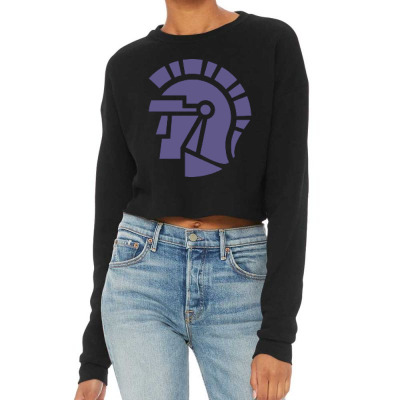 Taylor Academic In Upland, Indiana Cropped Sweater Designed By Ralynstore