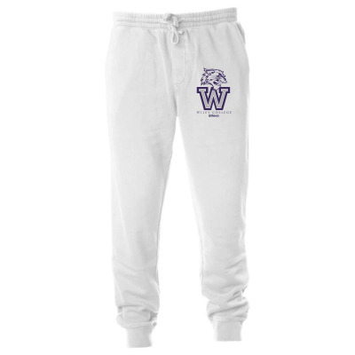 Wiley Academic Unisex Jogger Designed By Ralynstore