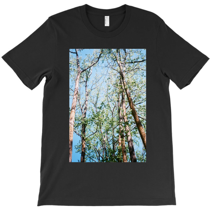 Mystic Forest T-Shirt by KarrieLBreuer | Artistshot