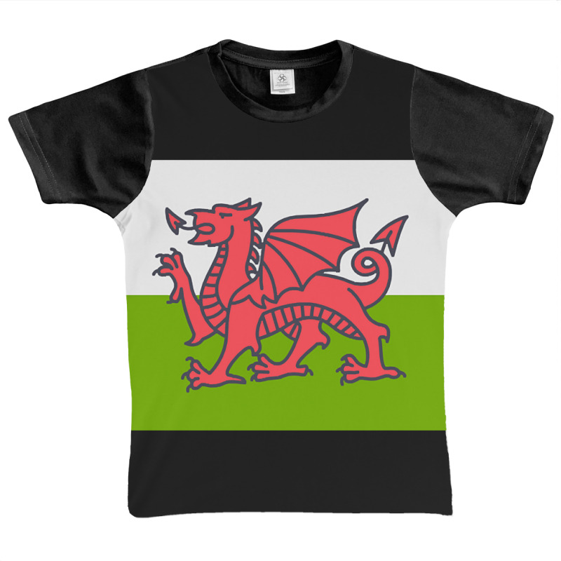 Flag Of Wales Graphic Youth T-shirt by Pannell Quintero | Artistshot