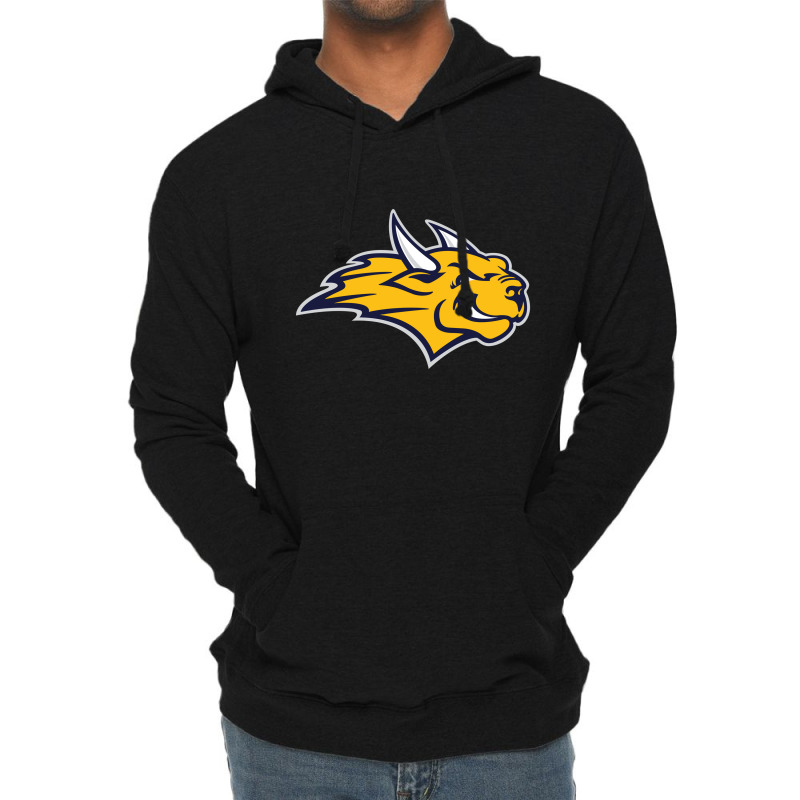 Webster University Lightweight Hoodie | Artistshot