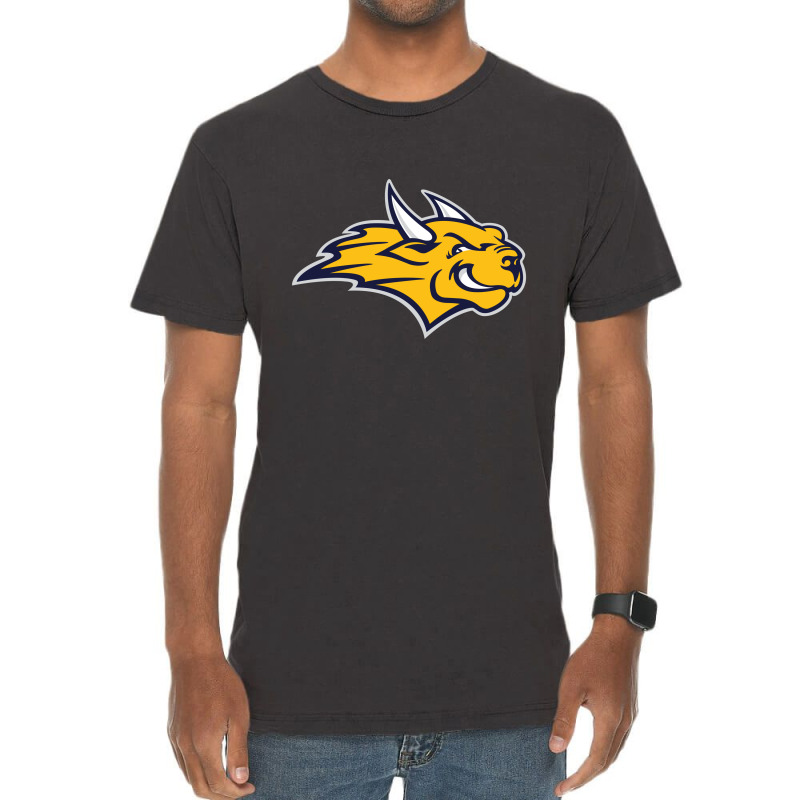 Webster University Vintage T-shirt | Artistshot