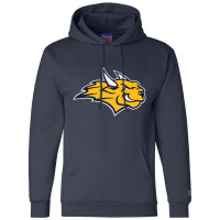 Webster University Champion Hoodie | Artistshot