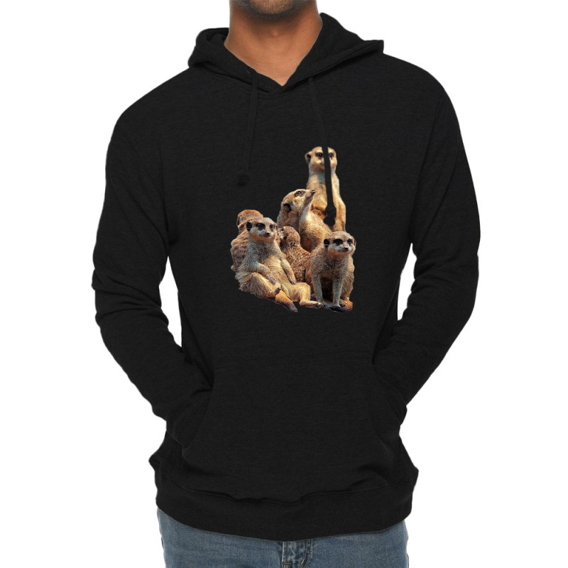 Lettertrunk Meerkat Family In The Kalahari Desert Lightweight Hoodie | Artistshot