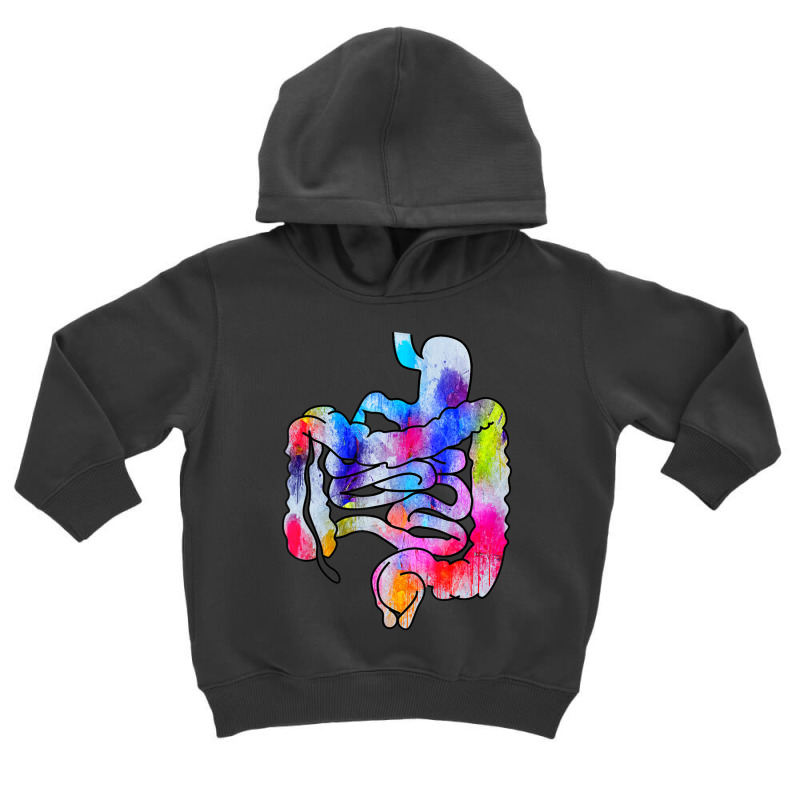 Digestive System Gastrointestinal Tract Watercolor Art Gifts Toddler Hoodie by degreesgunner | Artistshot