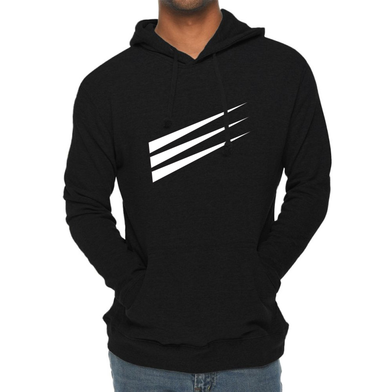 Wells College Lightweight Hoodie | Artistshot