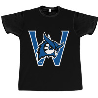 Westfield State Owls Graphic T-shirt | Artistshot