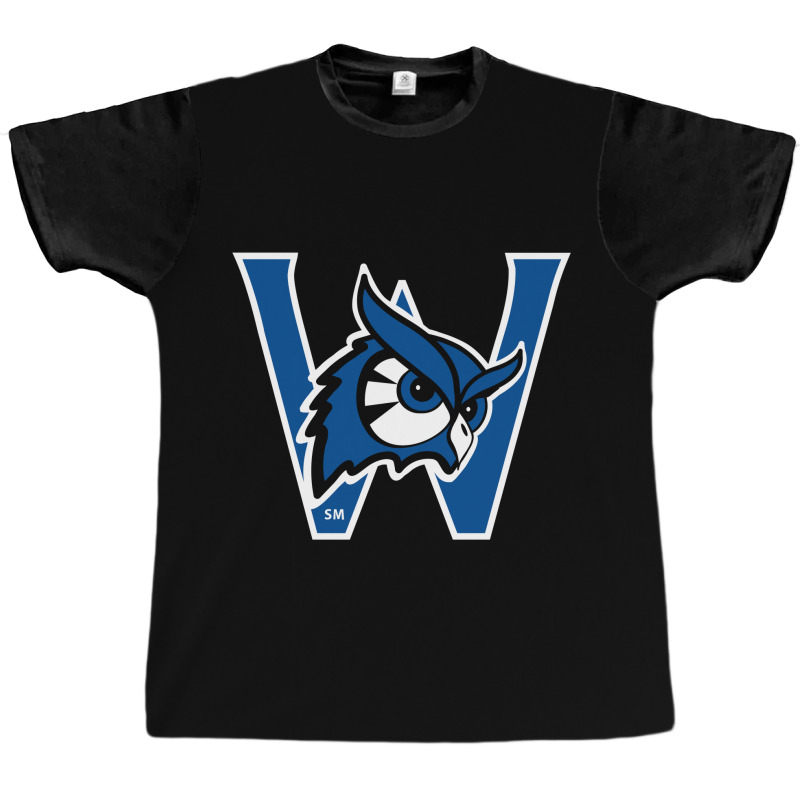 Westfield State Owls Graphic T-shirt | Artistshot