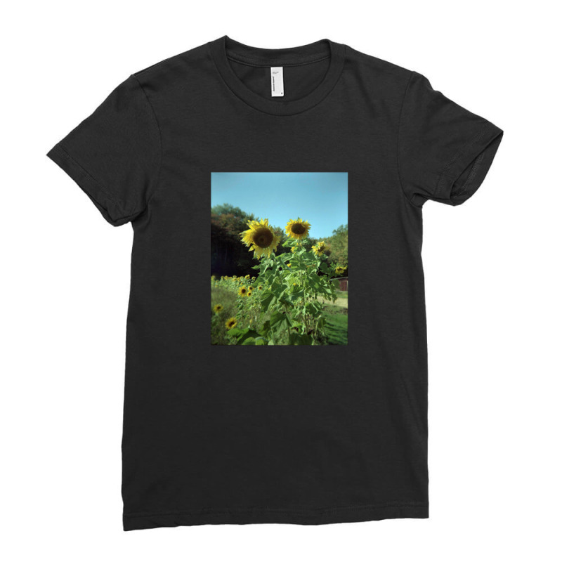 Film Sunflowers Ladies Fitted T-Shirt by SuzanneElaineSehorn | Artistshot