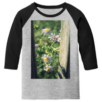 Porch Rail Aster Youth 3/4 Sleeve | Artistshot