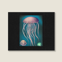 Jellyfish Artwork Beach Landscape Canvas Print | Artistshot