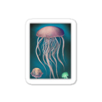 Jellyfish Artwork Beach Sticker | Artistshot